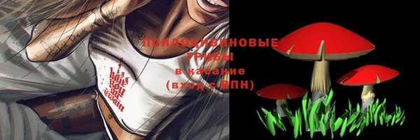 молекула духа Баксан