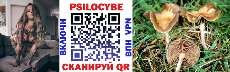 Псилоцибиновые грибы MAGIC MUSHROOMS  Купить закладки  Барыш 